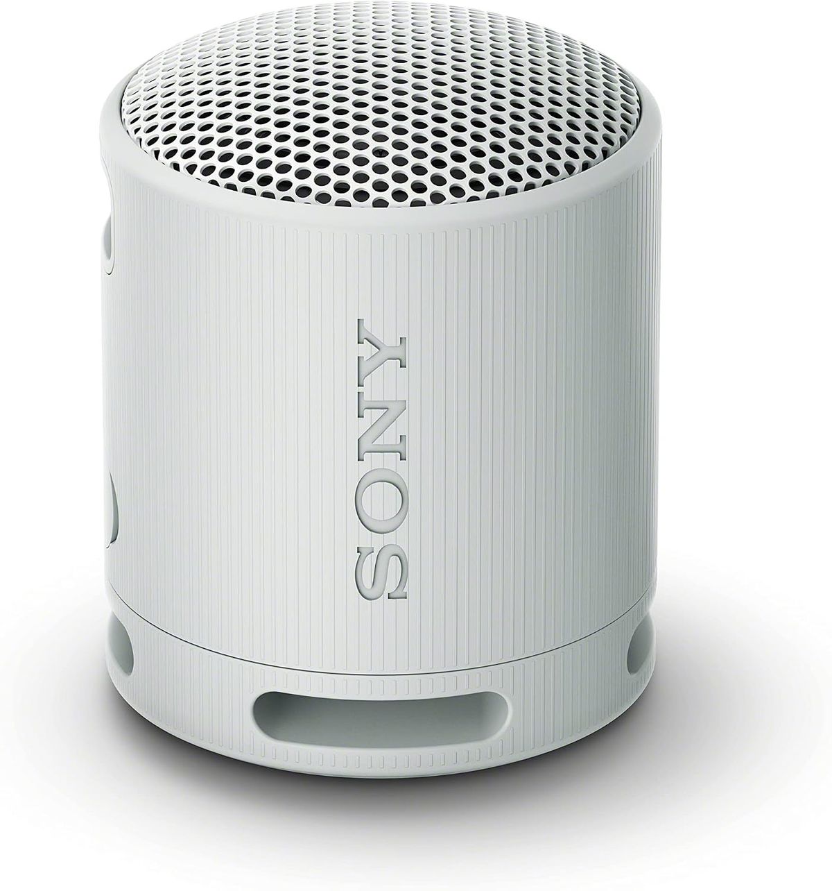 Sony SRS-XB100 Wireless Bluetooth Portable Speaker