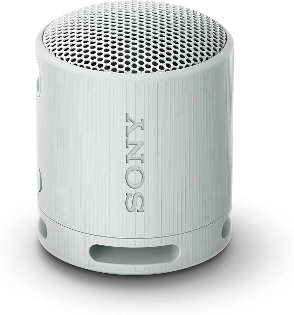 Sony SRS-XB100 Wireless Bluetooth Portable Speaker
