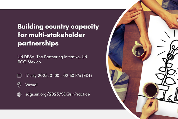Building country capacity for multi-stakeholder partnerships