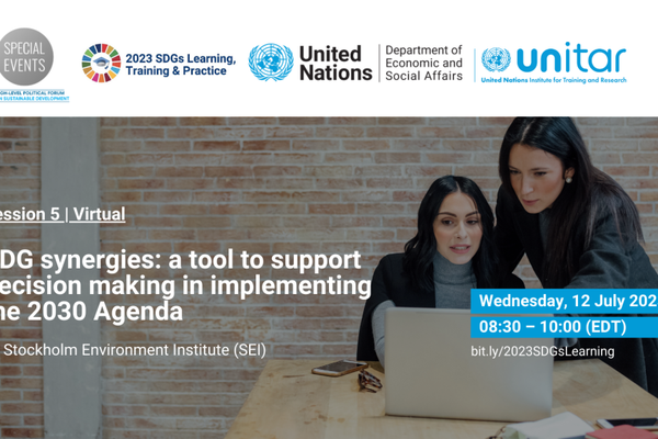 SDG Synergies: a tool to support decision making in implementing the 2030 Agenda