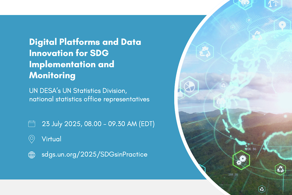 Digital Platforms and Data Innovation for SDG Implementation and Monitoring