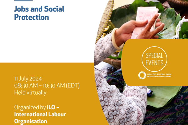 Jobs and Social Protection
