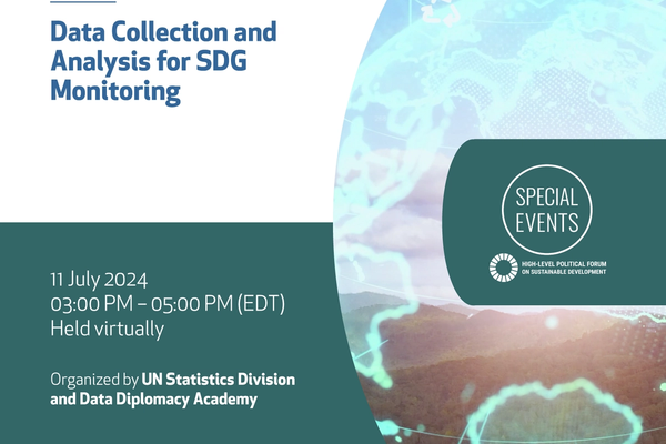 Data Collection and Analysis for SDG Monitoring