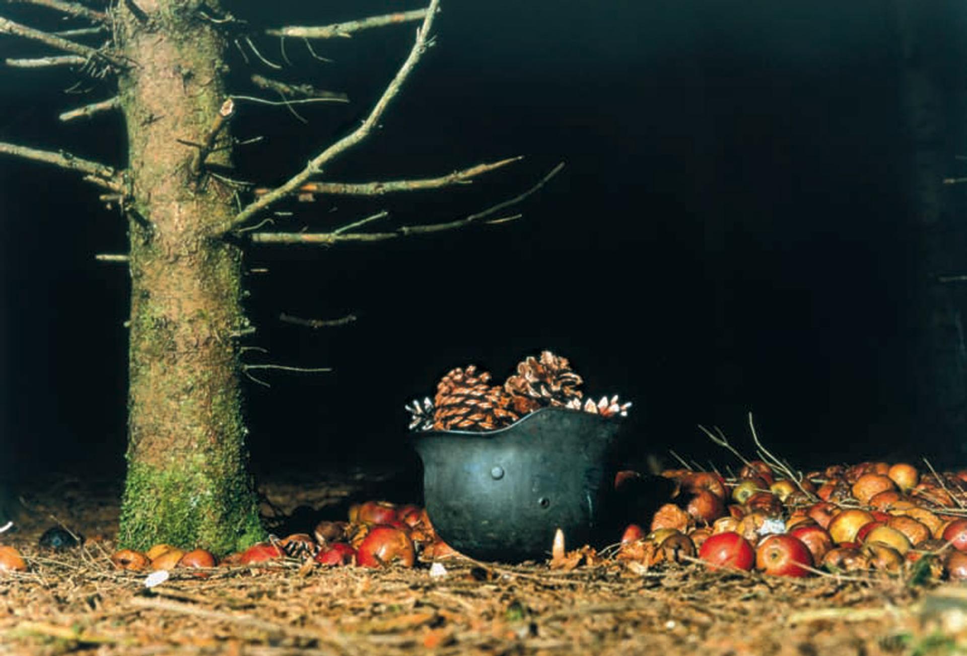 COLLIER SCHORR in conversation with THOMAS DEMAND