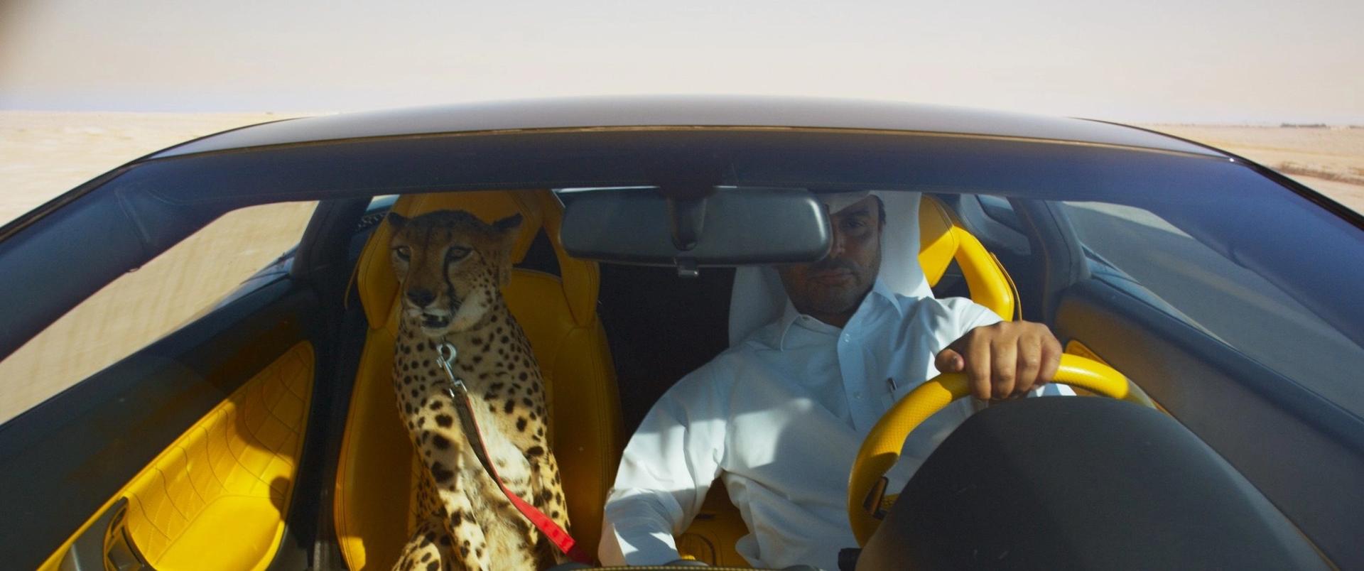Cheetah vs. Lambo: YURI ANCARANI’S Capitalist Mirage