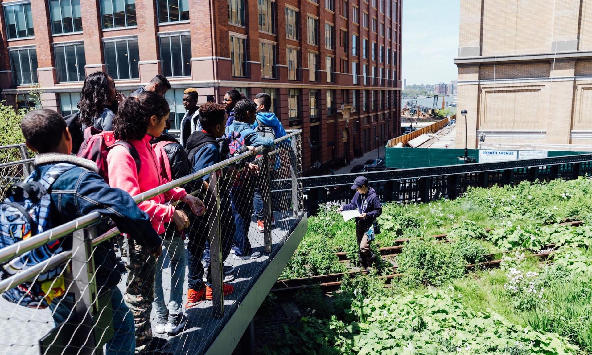 RICH THINGS: How Tourism, Sneakers, and Museums Make the Economy of Enrichment