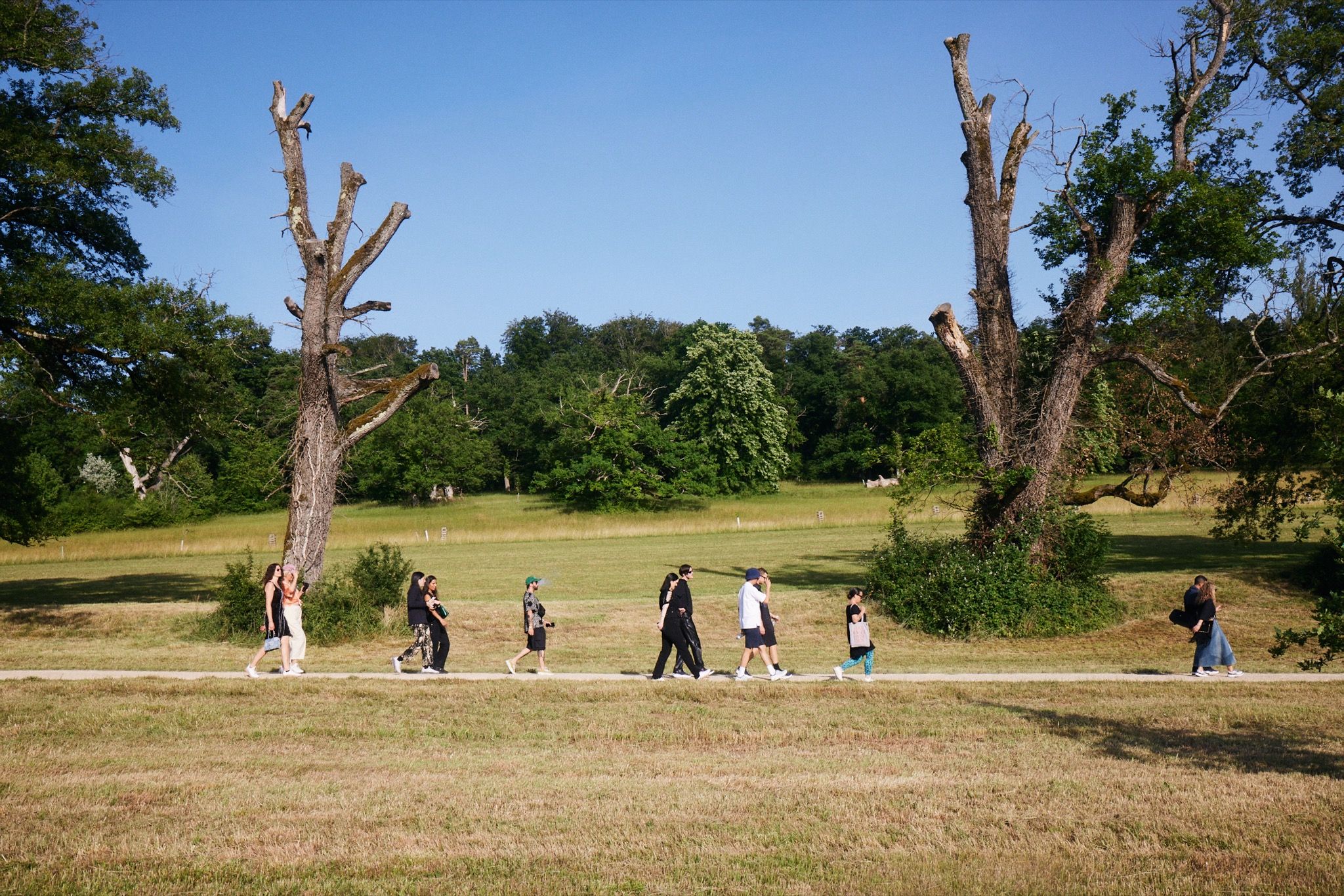 Creativity in Motion: On Walks of Life