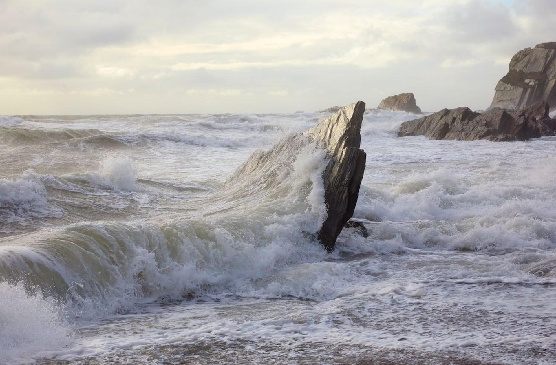 Pure Shores: THOMAS LOHR's Gezeiten