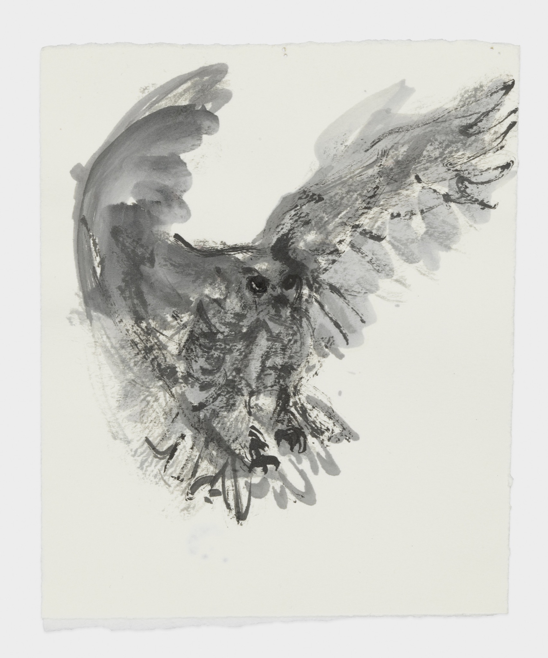 Marlene Dumas 'The owl,' 2015-2016 Ink wash and metallic acrylic on paper Image courtesy of David Zwirner