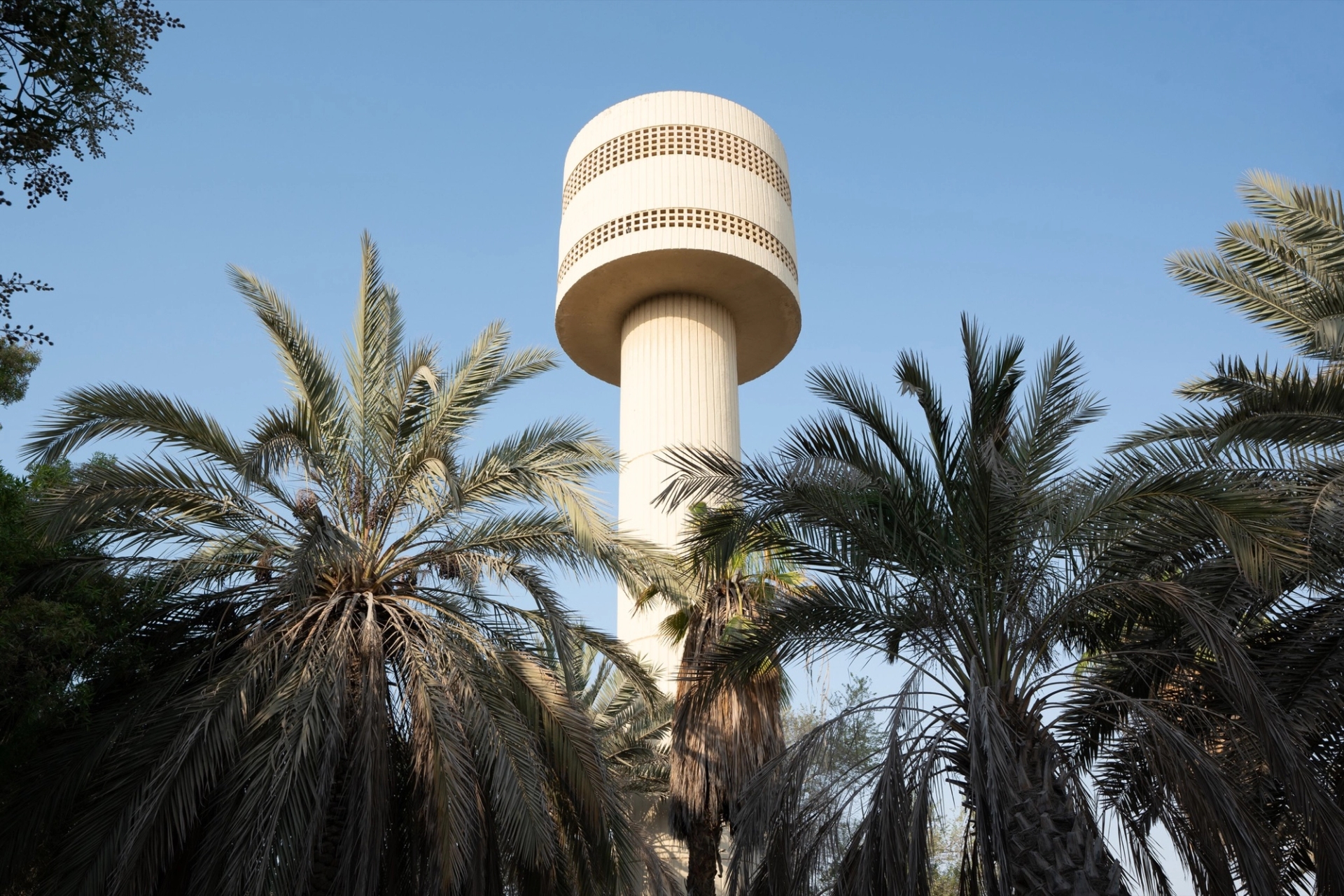 Al Gubaiba School Water Tower Garden. Courtesy of Sharjah Architecture Triennial, 2019.