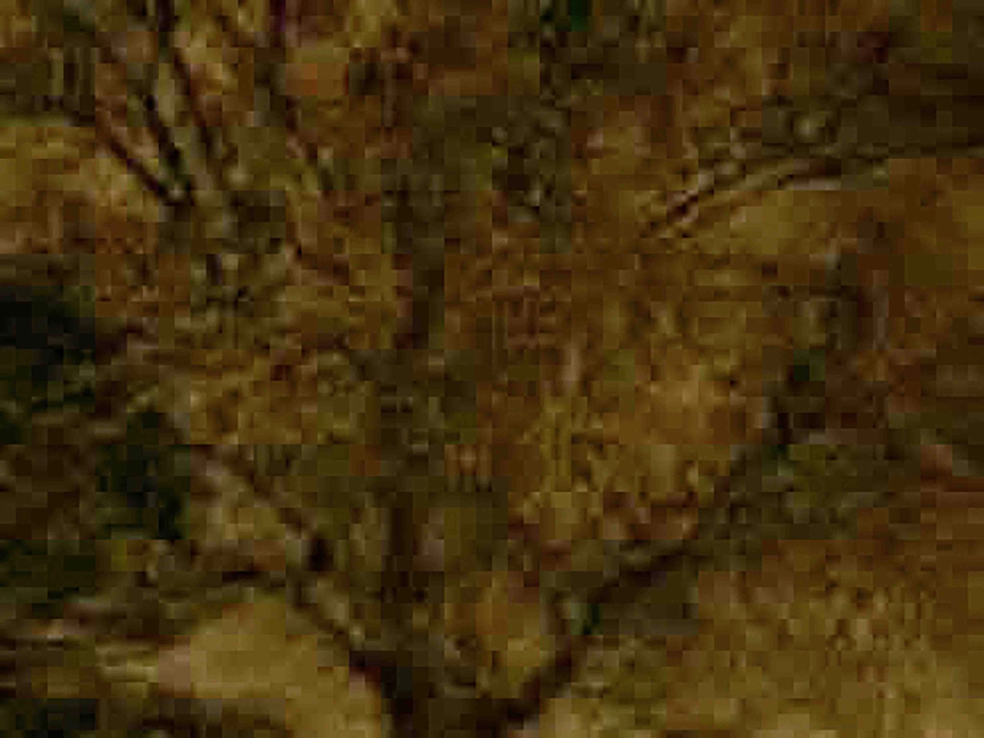 "I started using all different kinds of cameras. I used these tiny phone cameras as well as hi def cameras. The essential characteristic of the book is also the formal structure, actually. I set a certain height and width for the images, and because they come from different cameras that produce different resolutions, they jump around in quality. This mirrors my perception of truth."