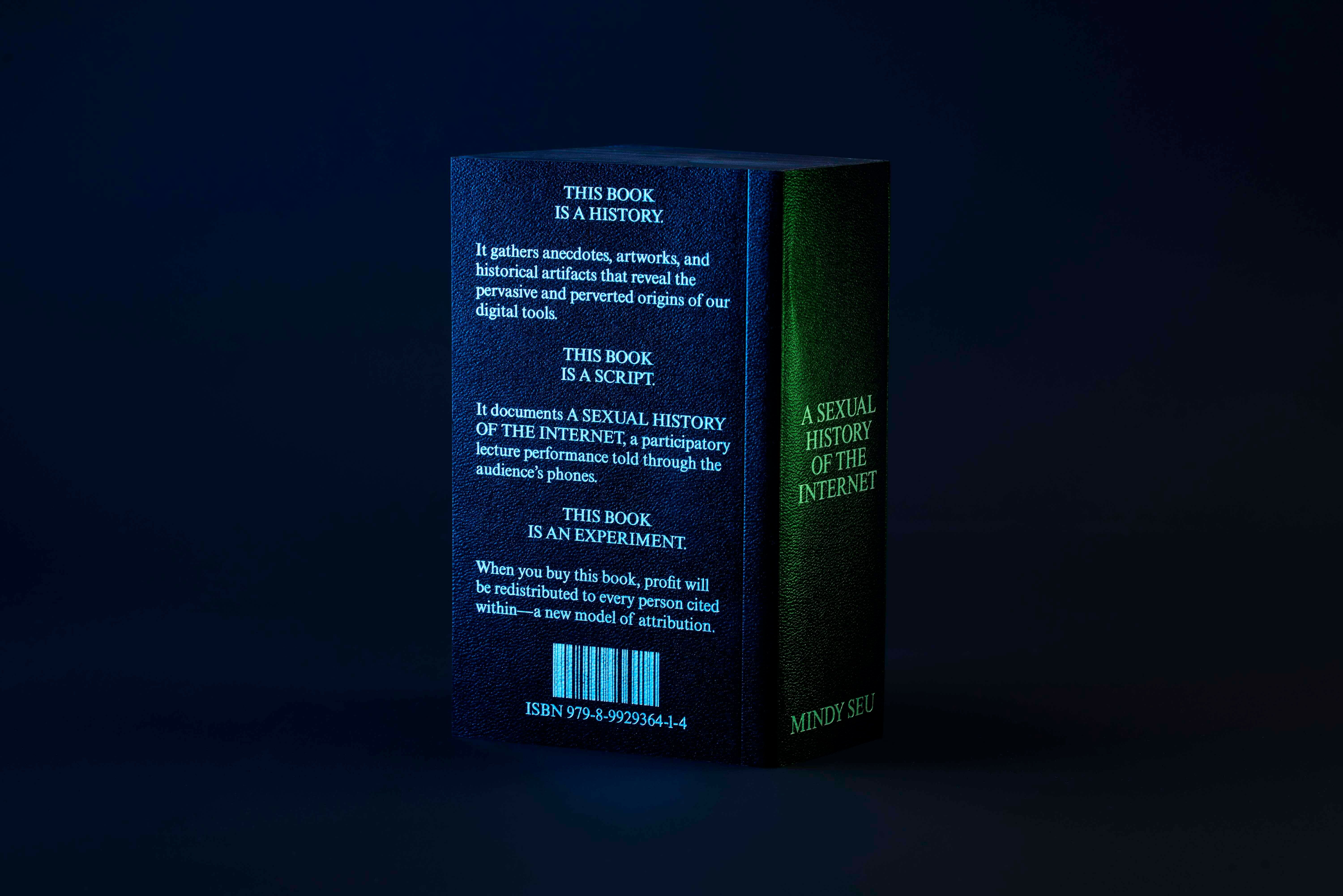 Techno-Development and Desire: Mindy Seu’s Sexual History of the Internet