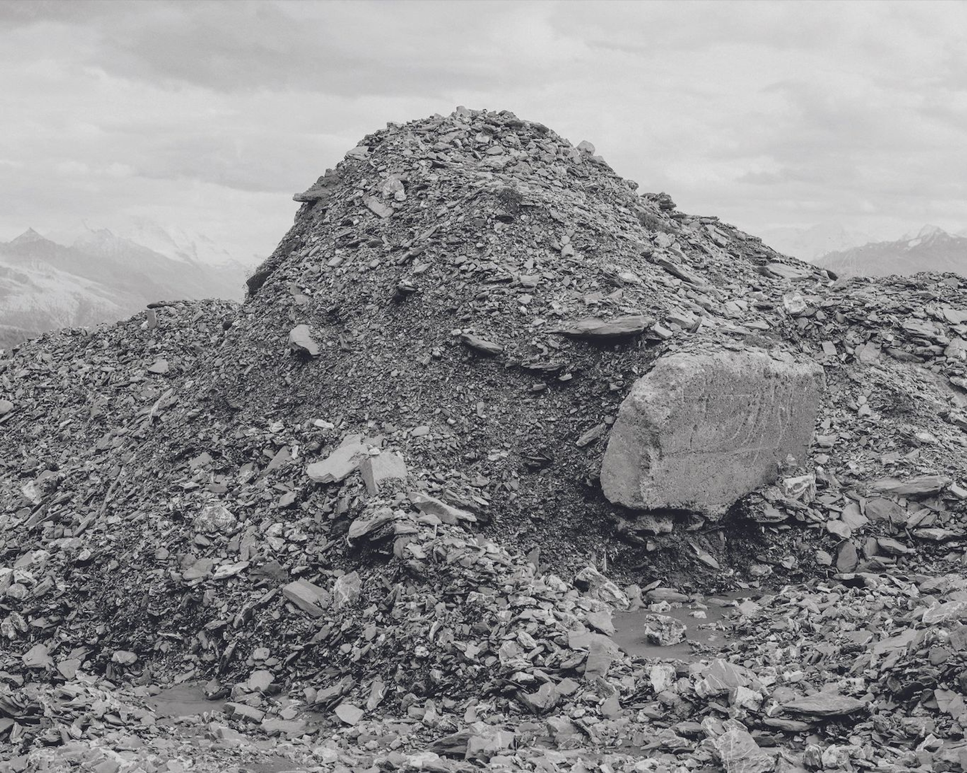 "To contemplate their nature is to inhale a deep breath of existential laughing gas"