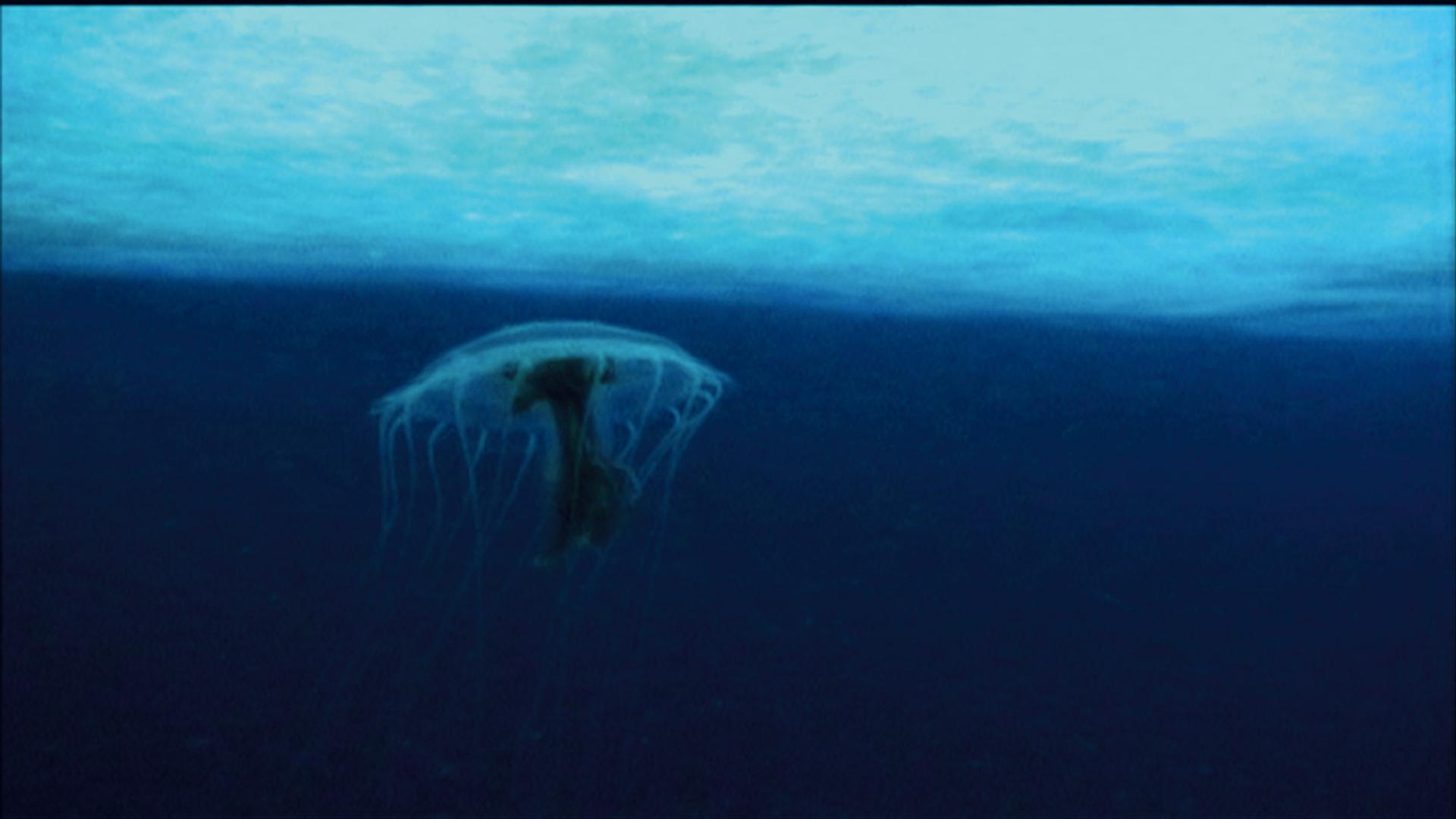 JEFF VANDERMEER: Science-Fiction City