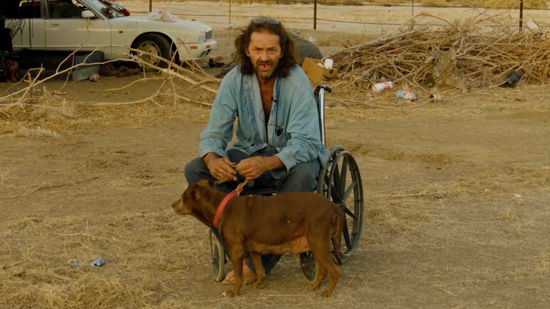 Doug Aitken, HOWL, 2023. Courtesy the artist and Galerie Eva Presenhuber, Zurich / Vienna © Doug Aitken