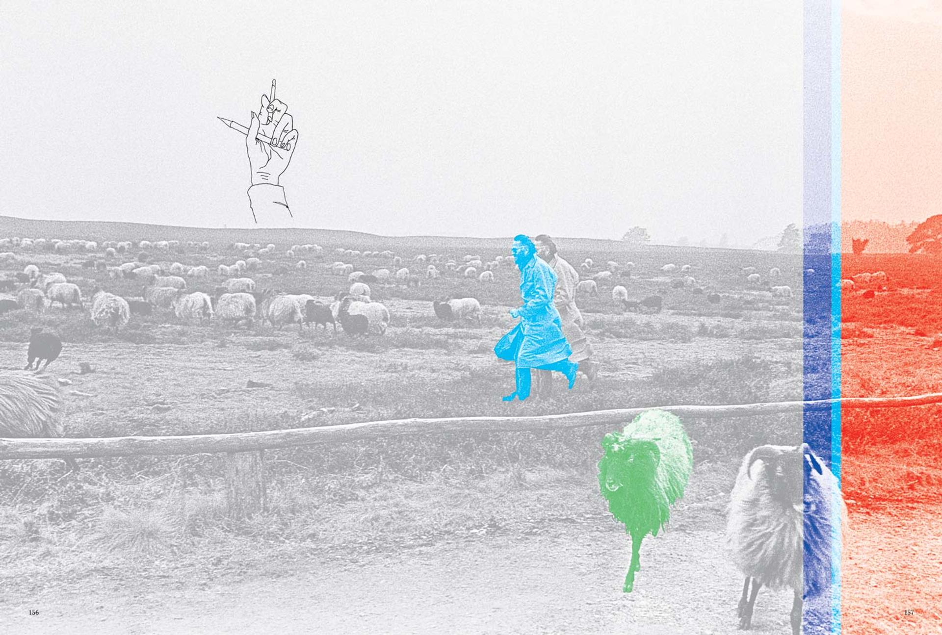 THE WOLF STANDS/CRIES ALONE