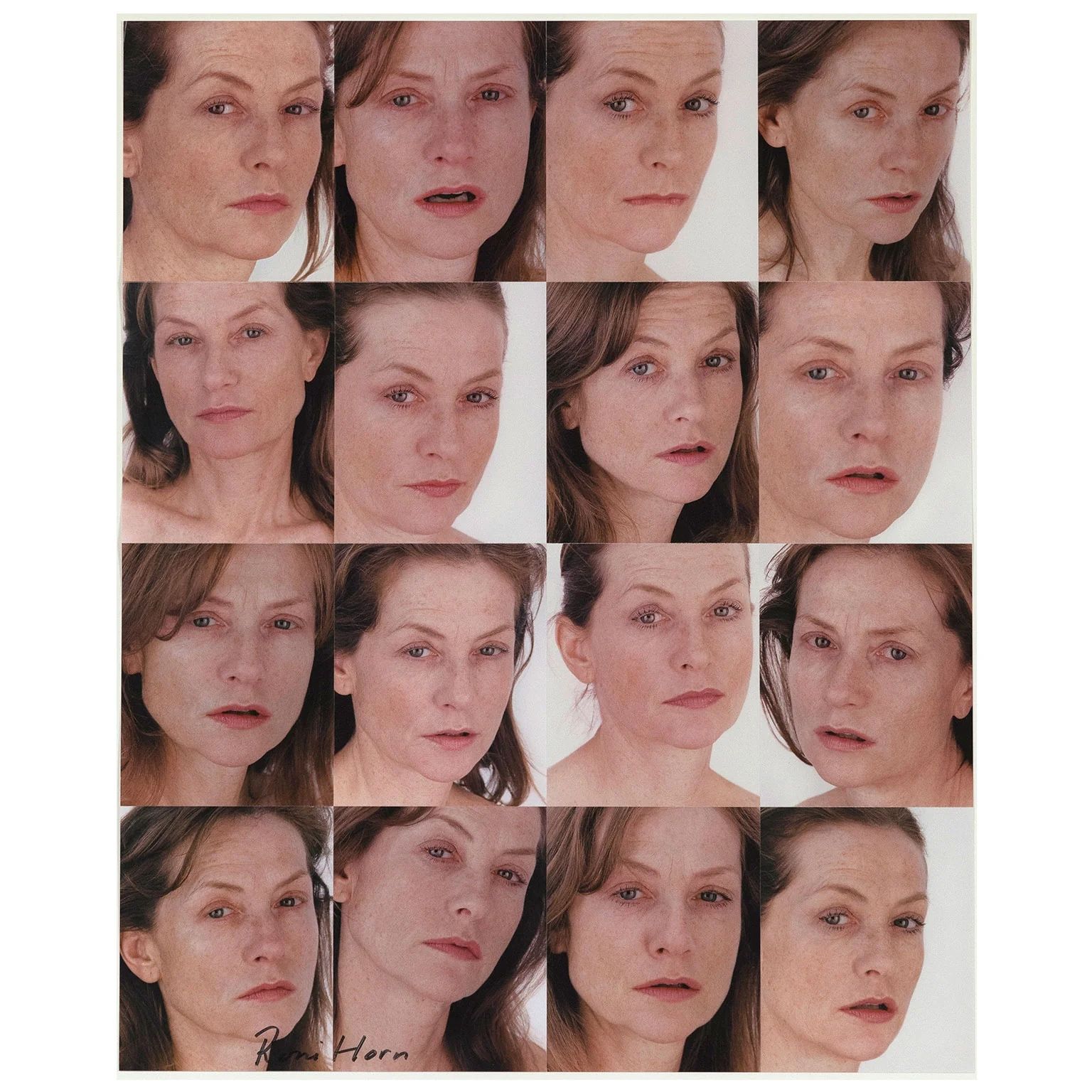 Roni Horn, Portrait of an Image, 2013.