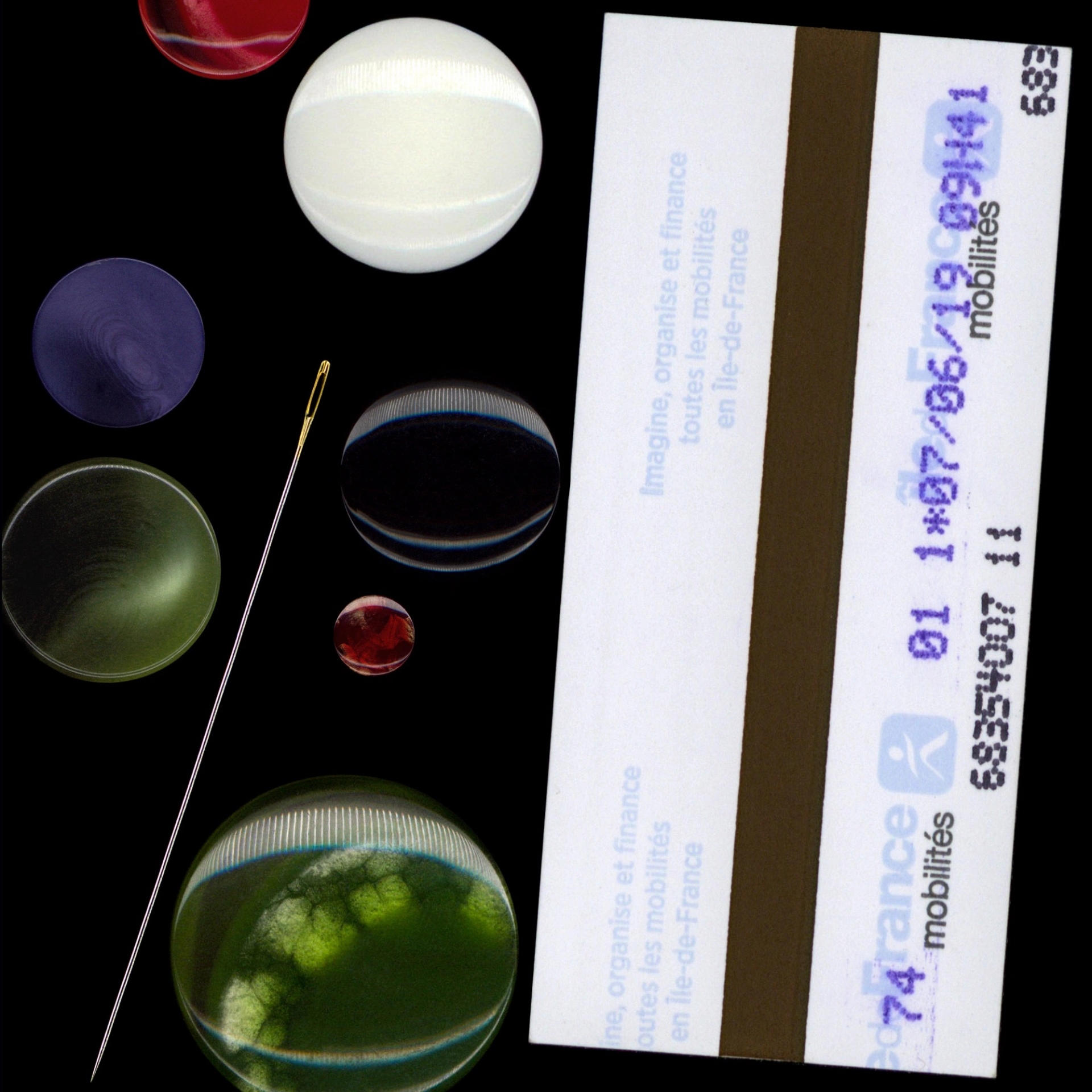 Cover, John Roberts, Can Thought Exist Without the Body (2019)