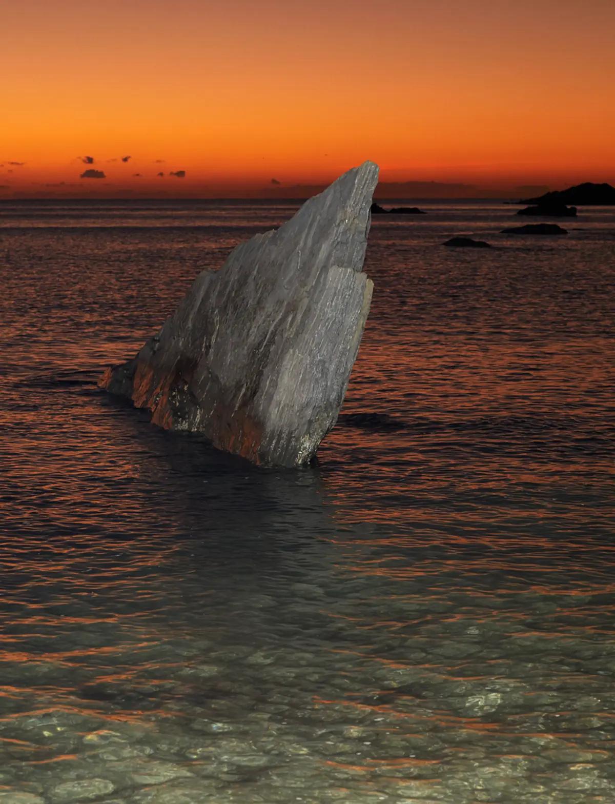 Pure Shores: THOMAS LOHR's Gezeiten