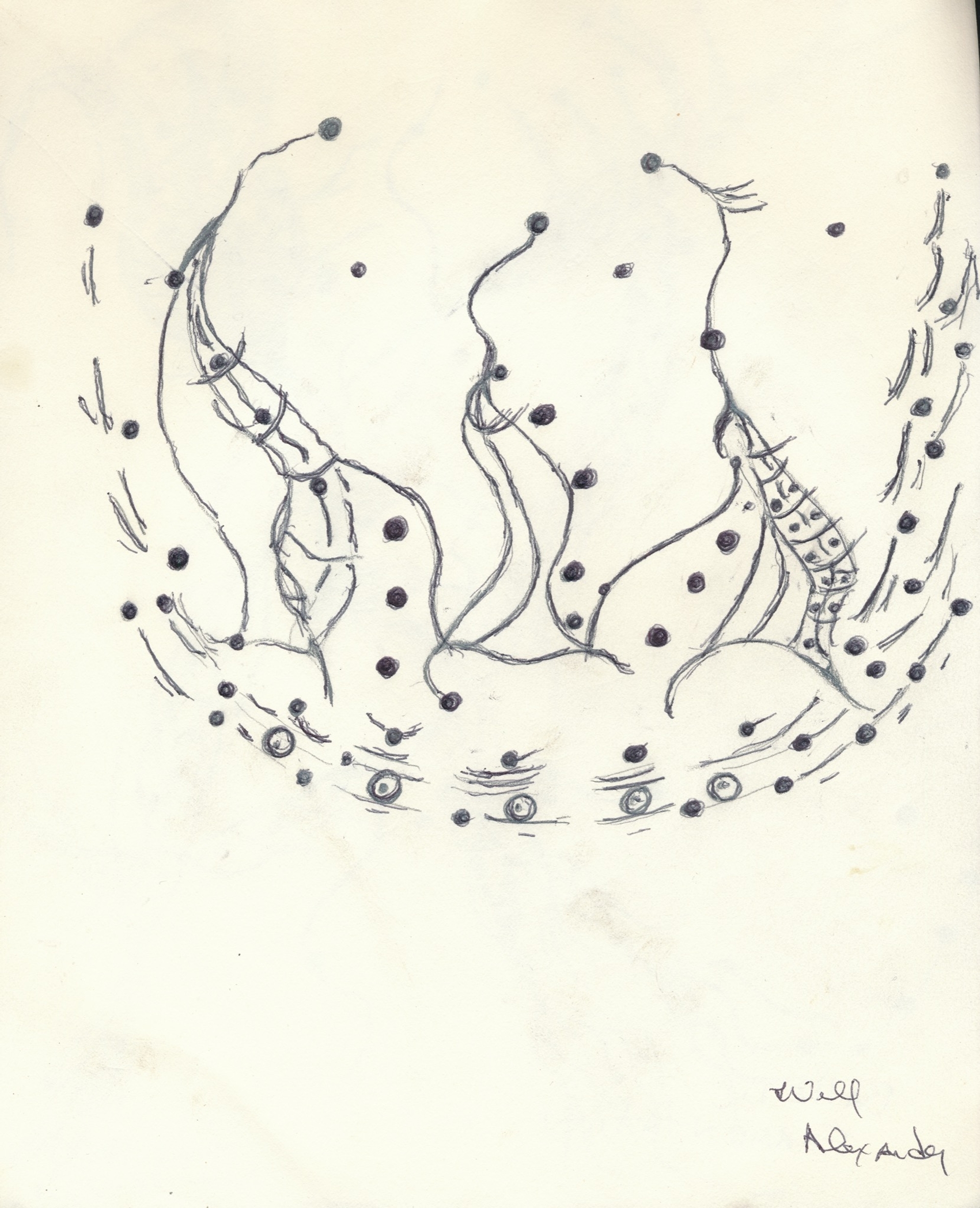 Will Alexander, Balletic Fragmentation, 2021. Courtesy of the artist