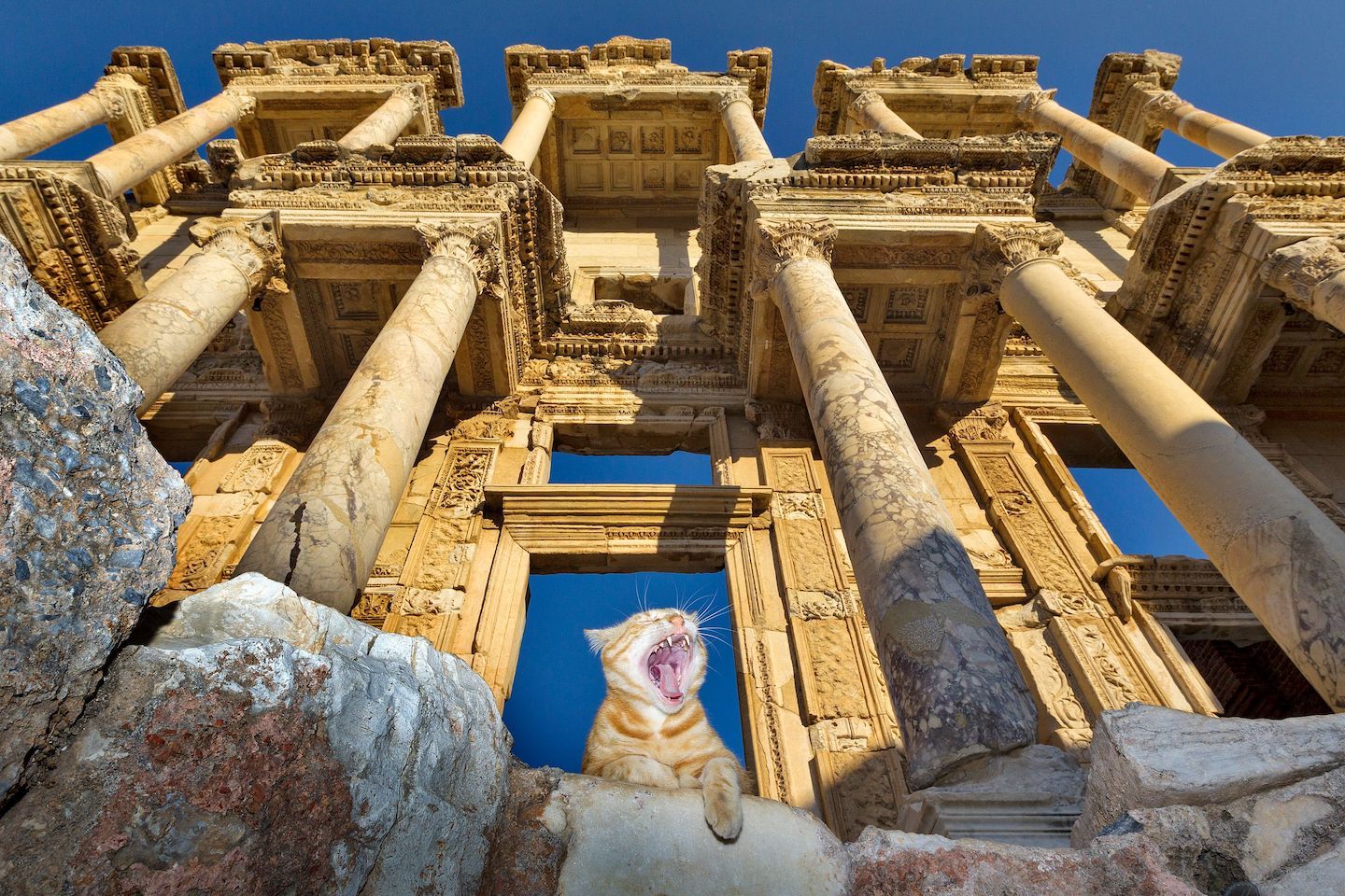 032c Takes on Buzzfeed: 5 Cats That Guard the Ancient City of Ephesos