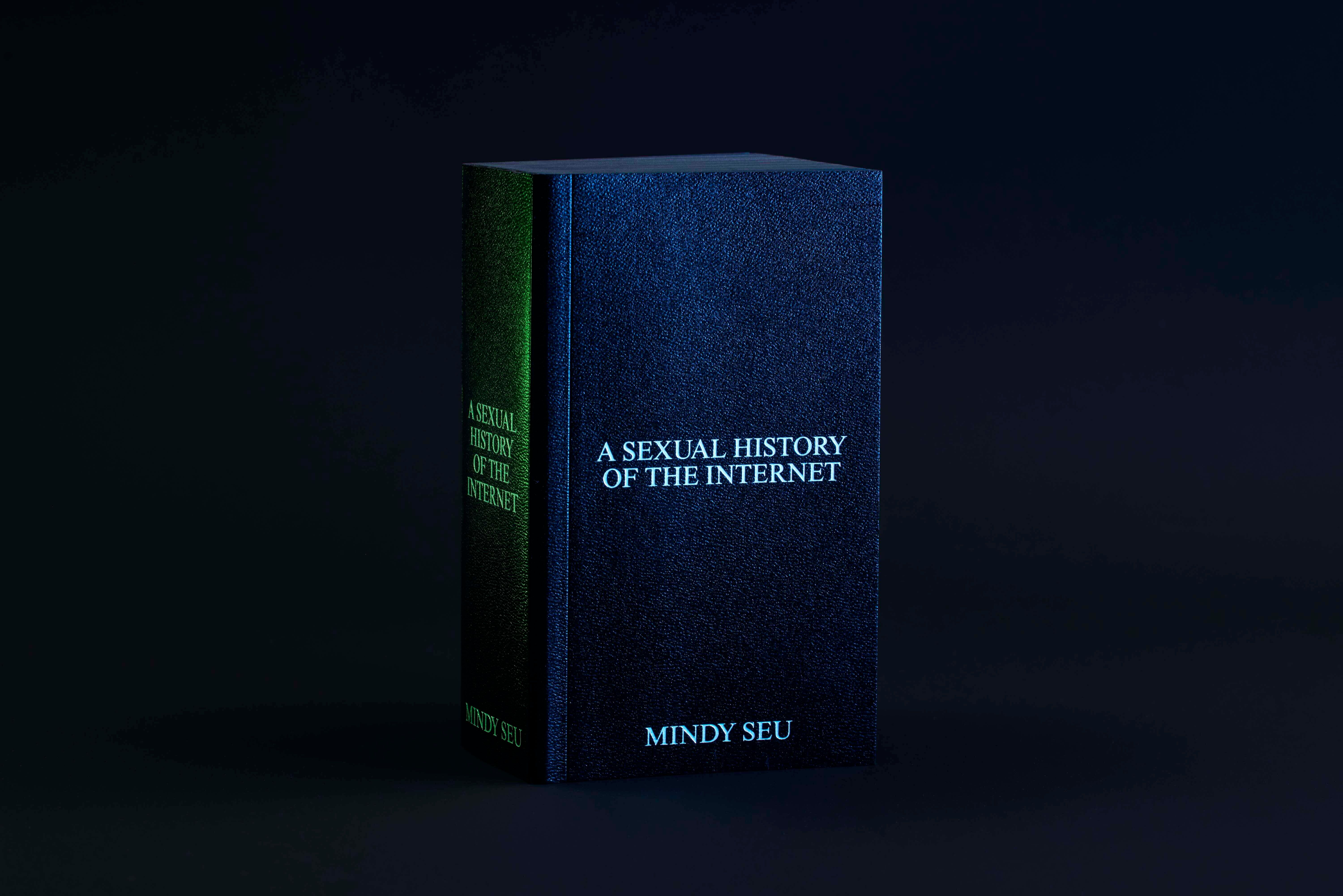 Techno-Development and Desire: Mindy Seu’s Sexual History of the Internet