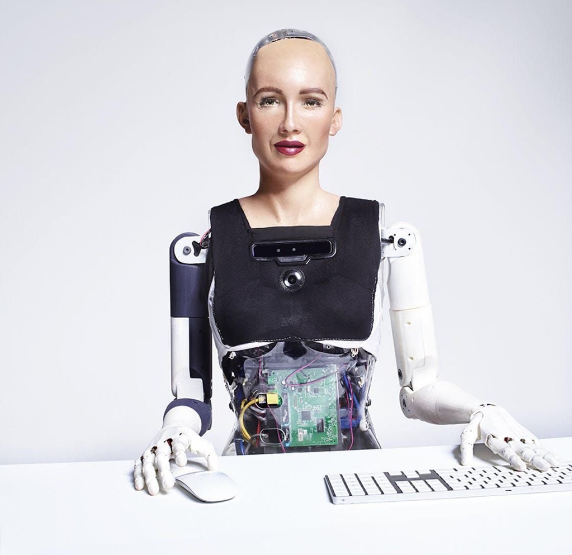 3D simulation of Hanson's Sophia Robot (2020)