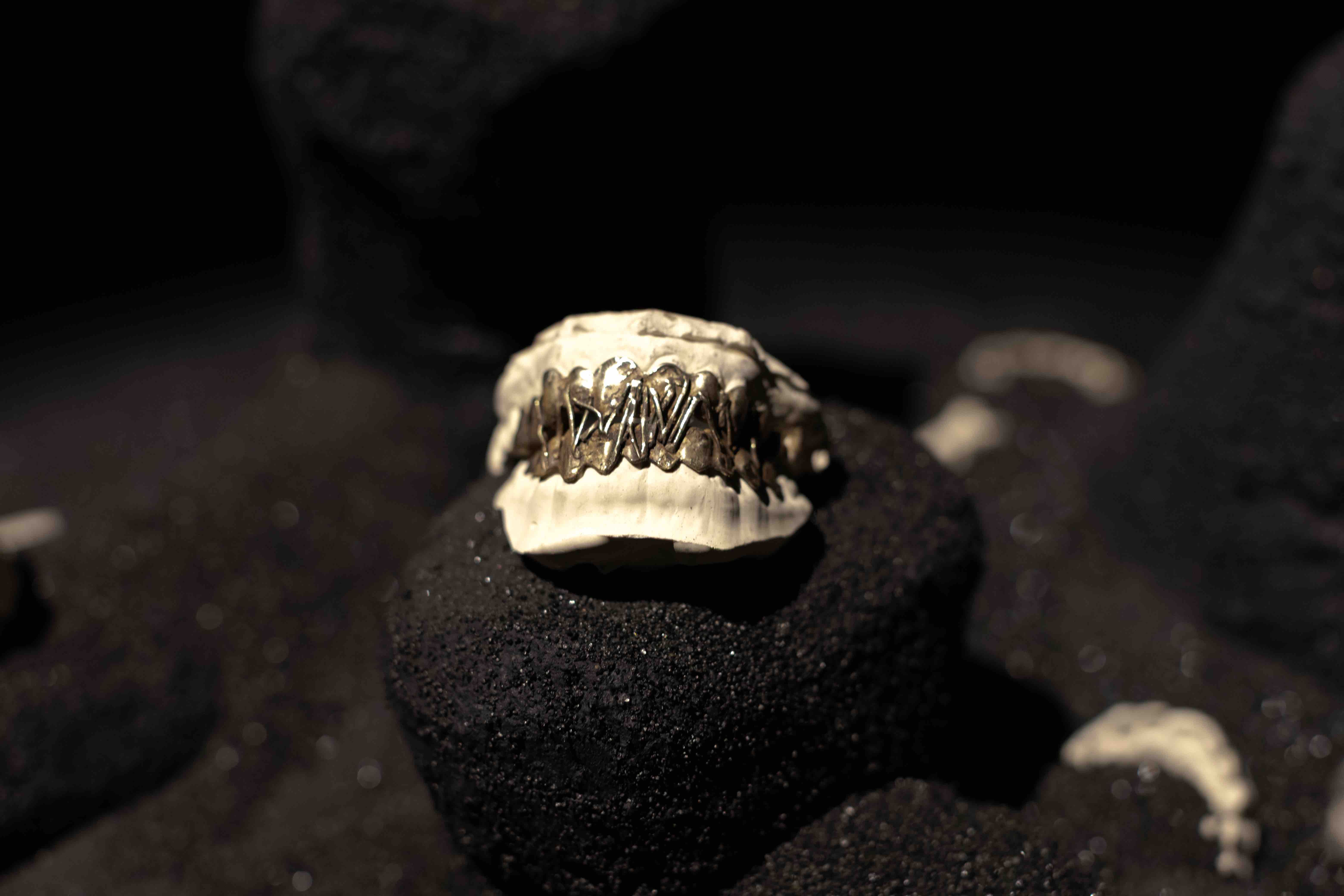Iced Out with Grillz Artist Masahiro LaMarsh | 032c