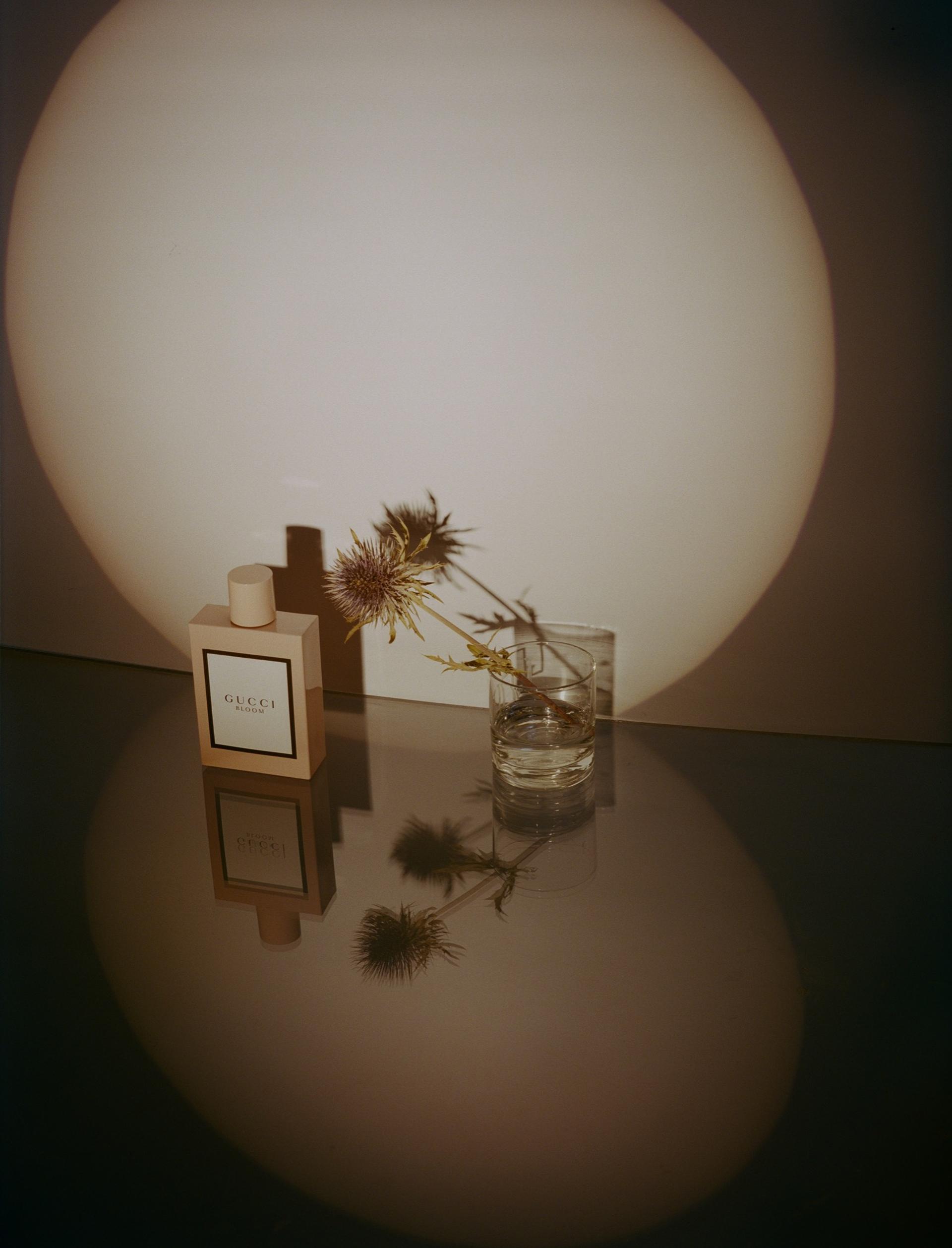 HIBERNAL BLOOM: Gucci Beauty by 032c