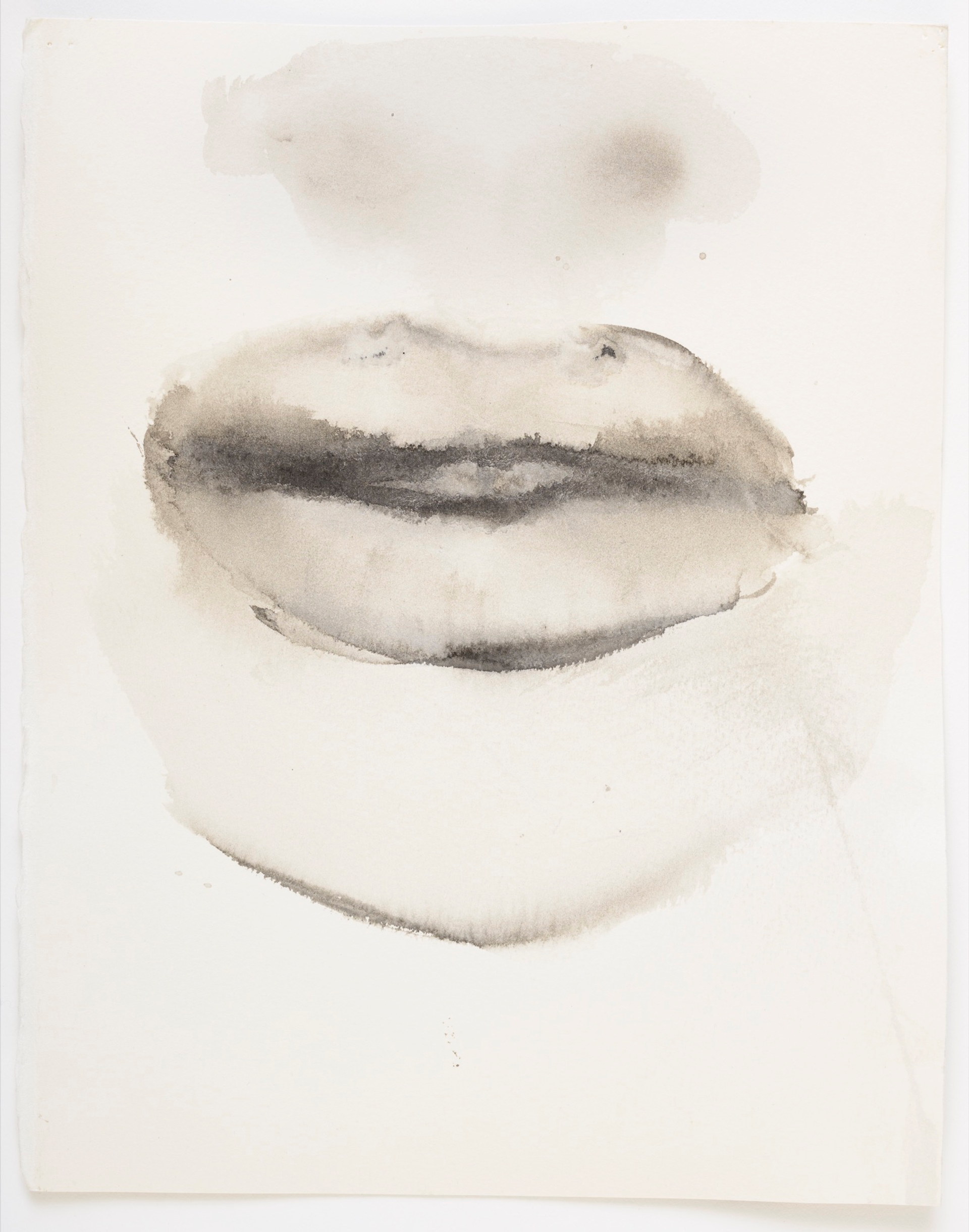 Marlene Dumas 'She speaks,' 2015-2016 Ink wash on paper Image courtesy of David Zwirner