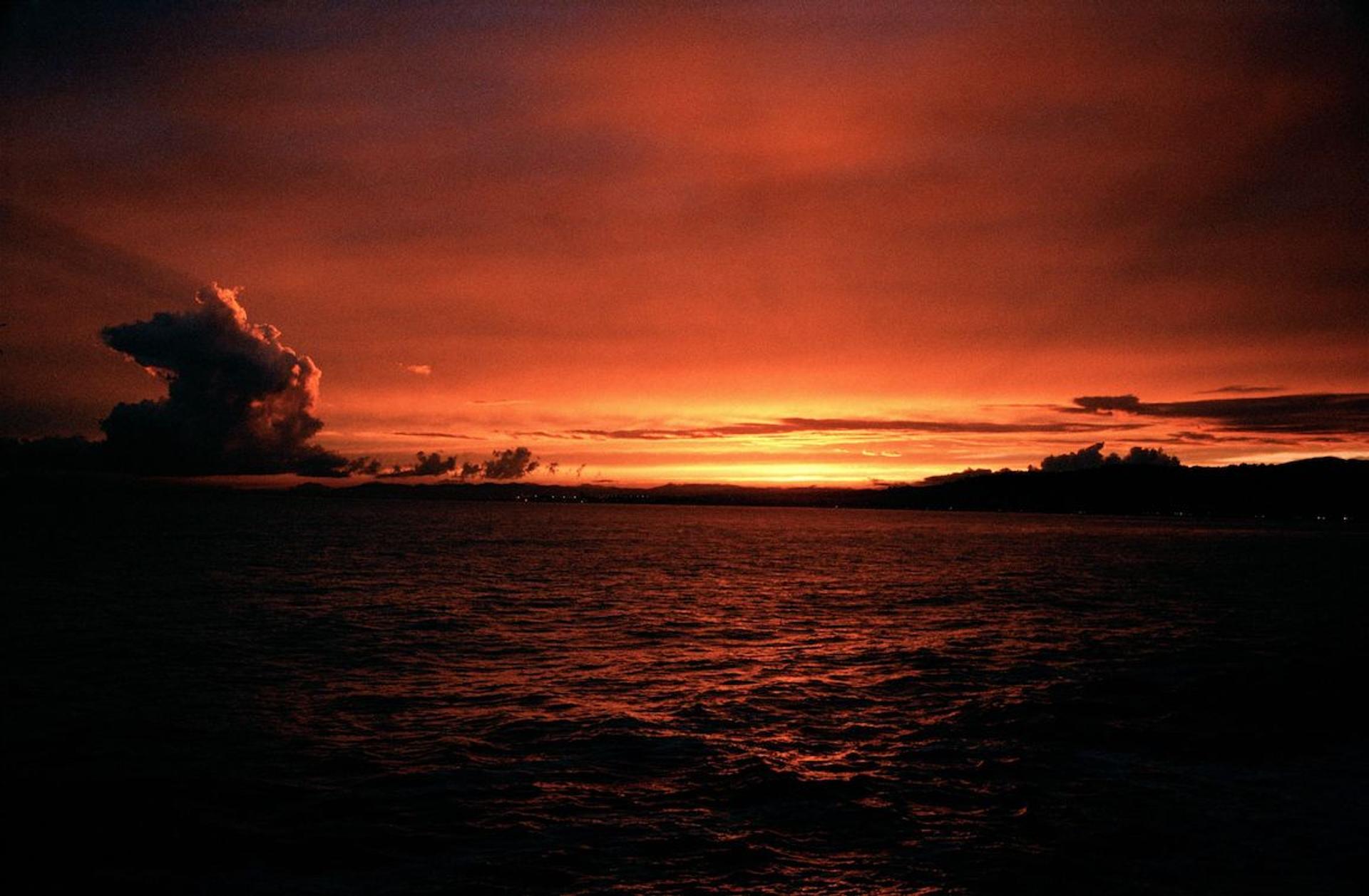 RED ROSES FOR AYSCHE: Twilight in Kreuzberg with Artist MATTHIAS STEINKRAUS