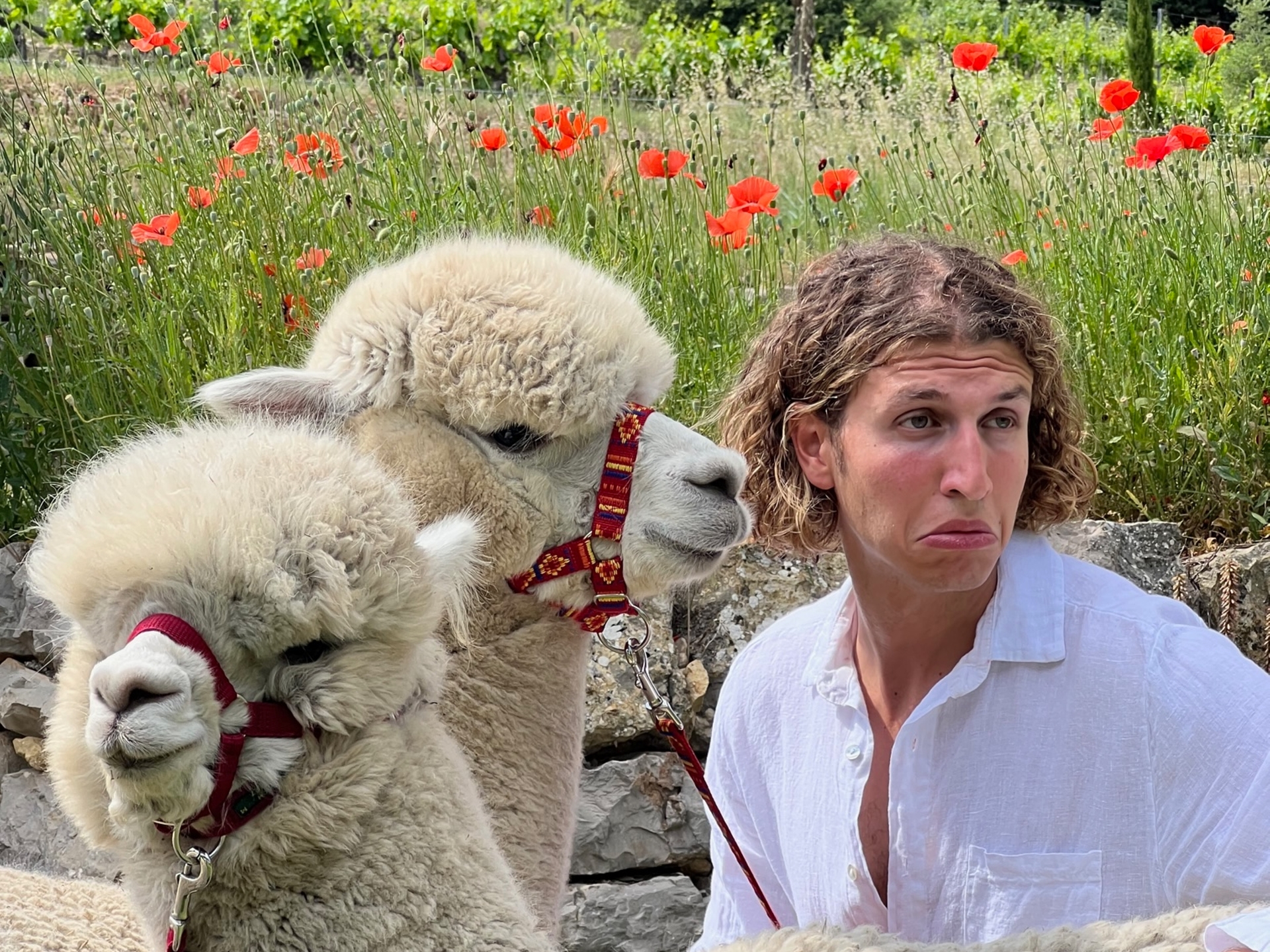 Constance in his natural habitat