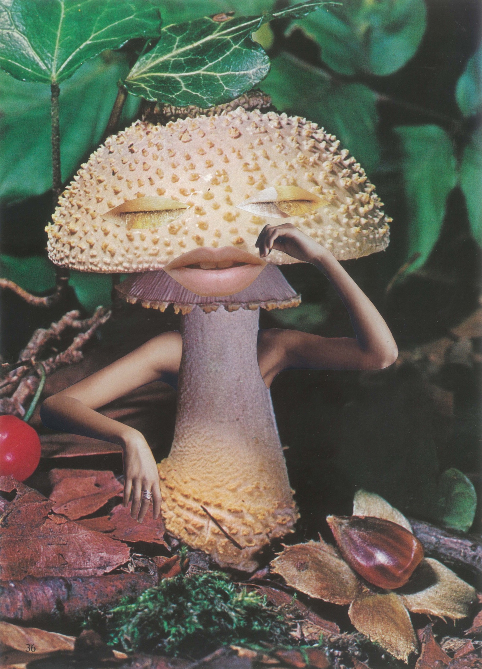 Seana Gavin, "Mindful Mushroom." From