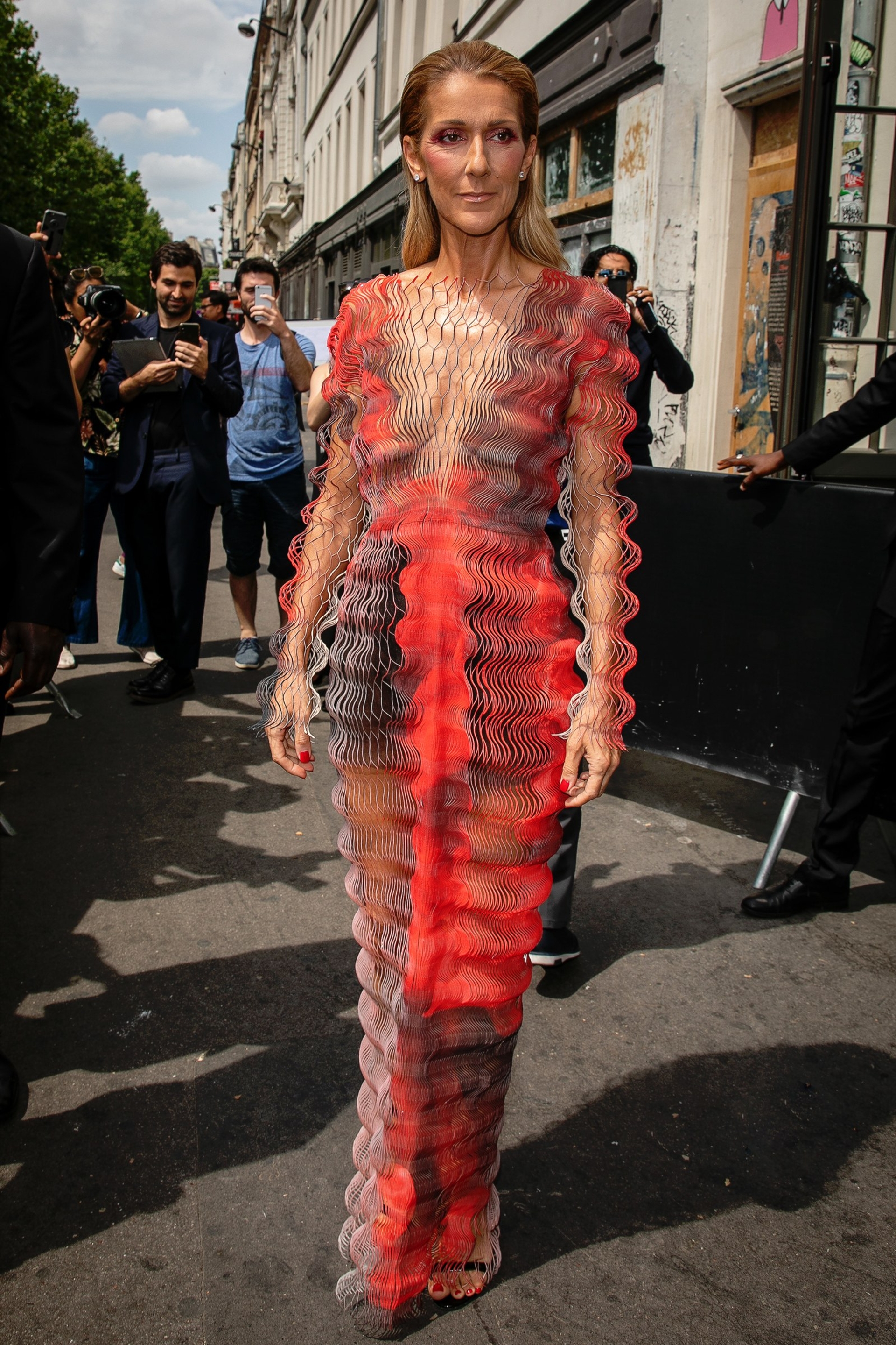 Celine Dion wearing Iris van Herpen Spring 2019 Couture. Photo: Getty Images.