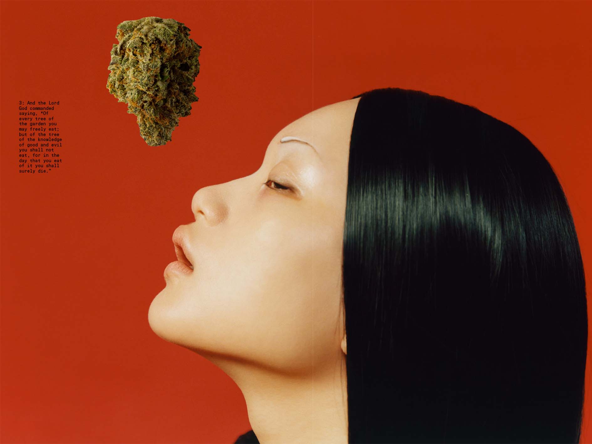 Original Sin: A First Look at SUNDAE SCHOOL’s New Zine About Weed in Korea