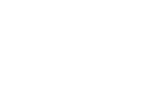 Roof Advance logo
