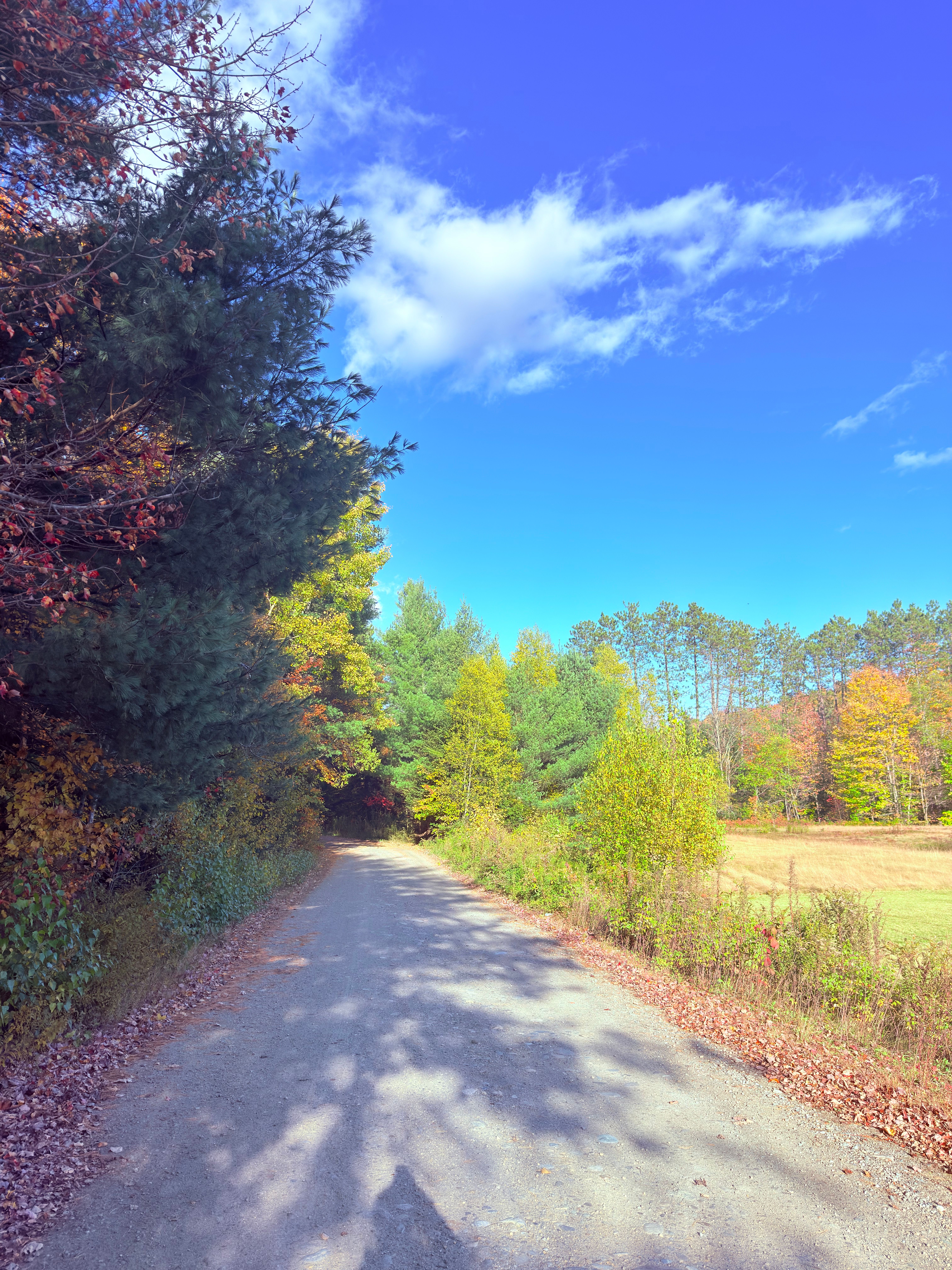 Dirt road with fall foliage