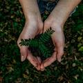7 naturliga rengöringsmedel som faktiskt funkar i hemmet