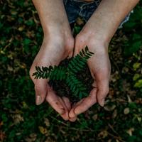 7 naturliga rengöringsmedel som faktiskt funkar i hemmet
