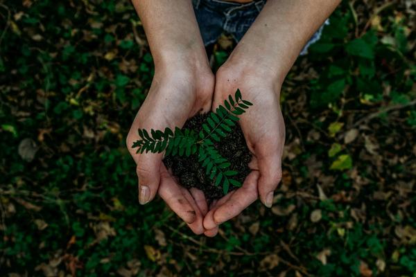 7 naturliga rengöringsmedel som faktiskt funkar i hemmet