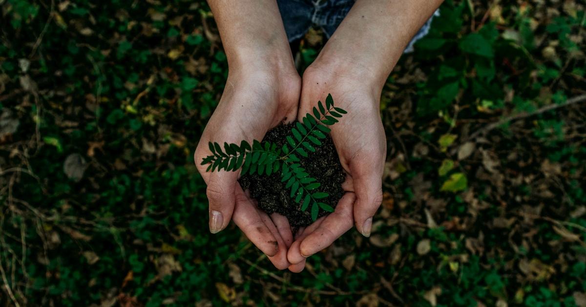 7 naturliga rengöringsmedel som faktiskt funkar i hemmet