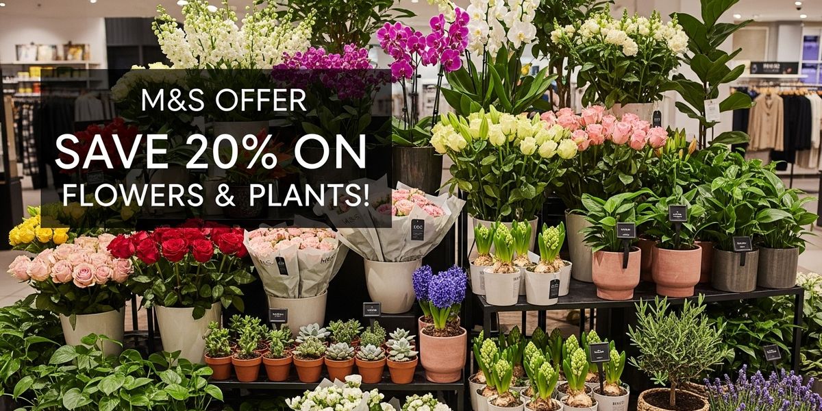 M&S Offer: Save 20% on Flowers and Plants!