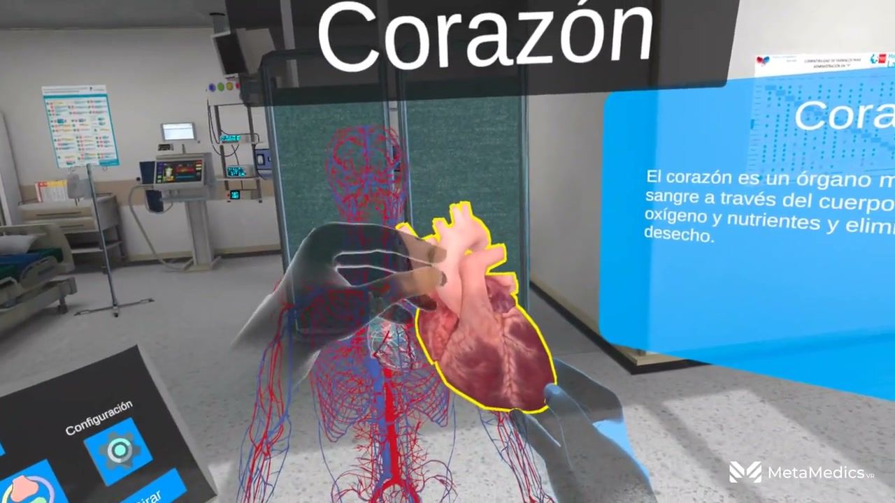 A student holds the 3D heart with bare hands inside the anatomy simulation, with the circulatory system model behind