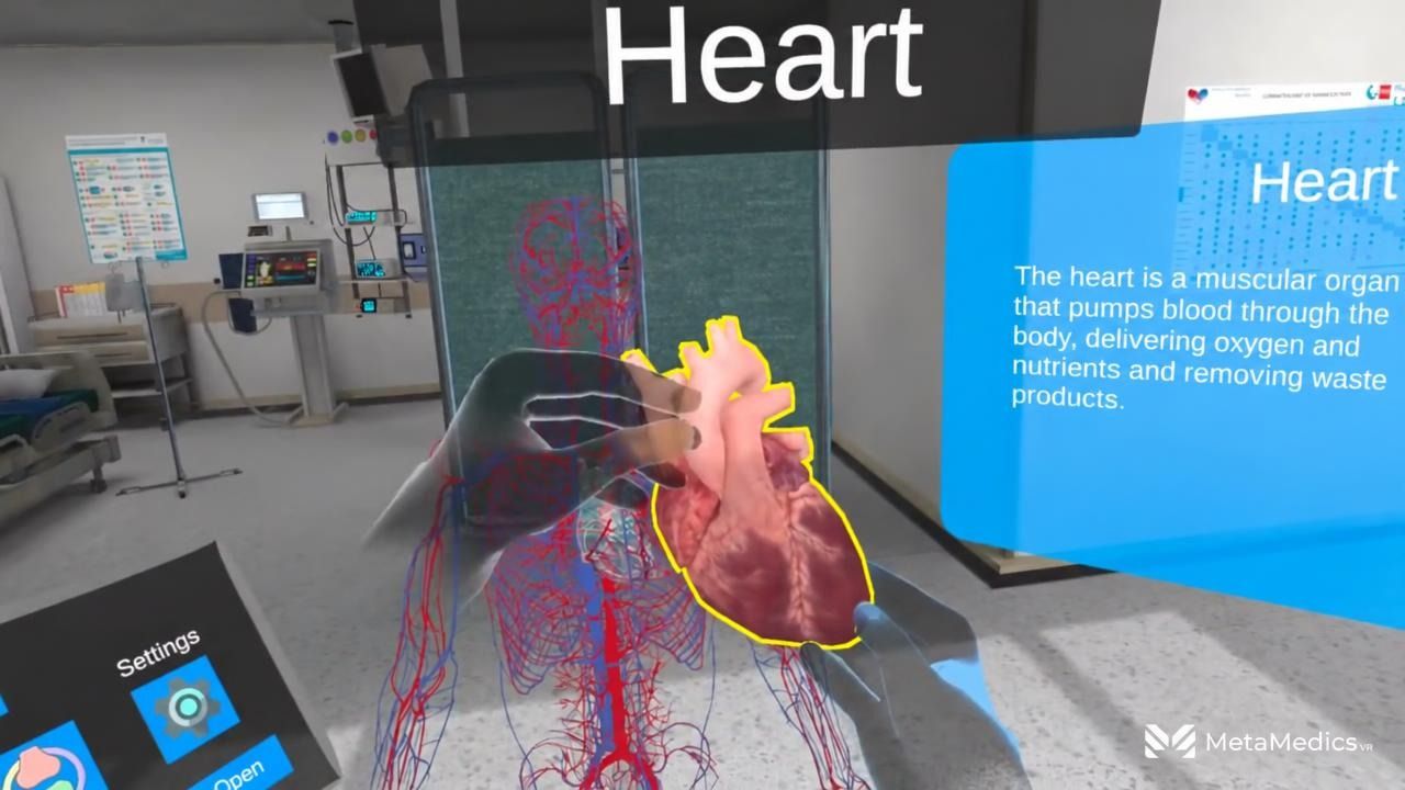 A student holds the 3D heart with bare hands inside the anatomy simulation, with the circulatory system model behind