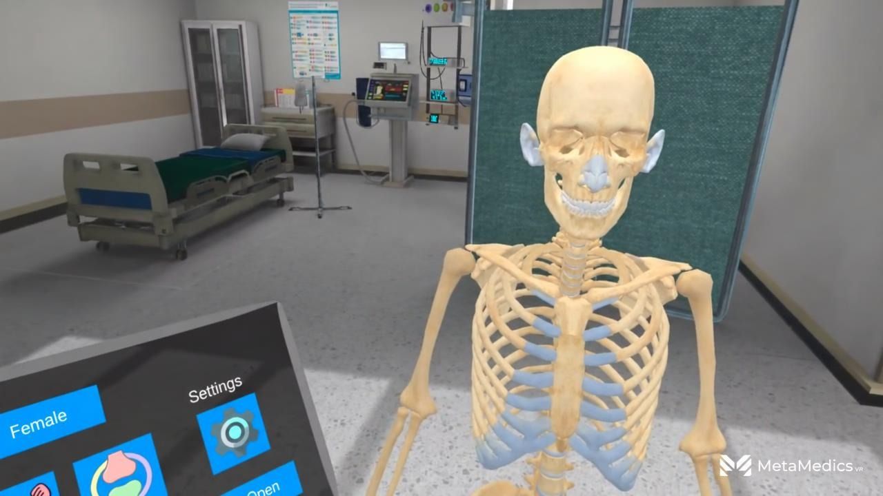 POV frame from the MetaMedicsVR human anatomy VR simulation: the full 3D skeleton standing in a virtual clinical room