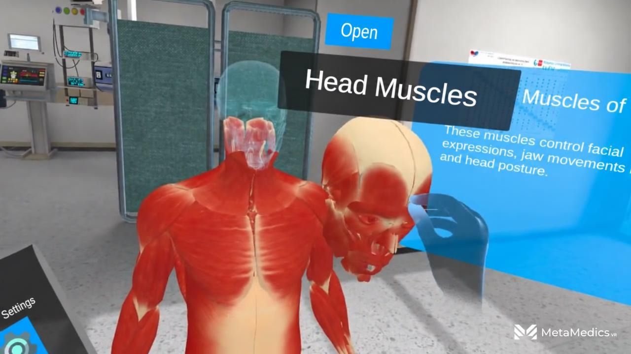 The muscular system isolated inside the simulation, with the head muscles highlighted next to an information panel