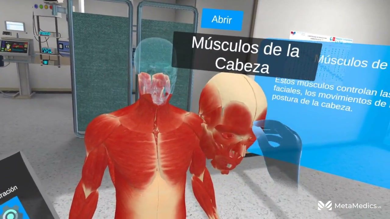 The muscular system isolated inside the simulation, with the head muscles highlighted next to an information panel
