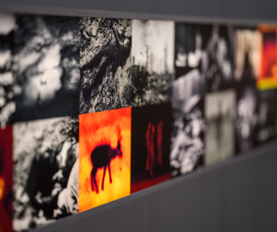 From the exhibition A Message To Humanity