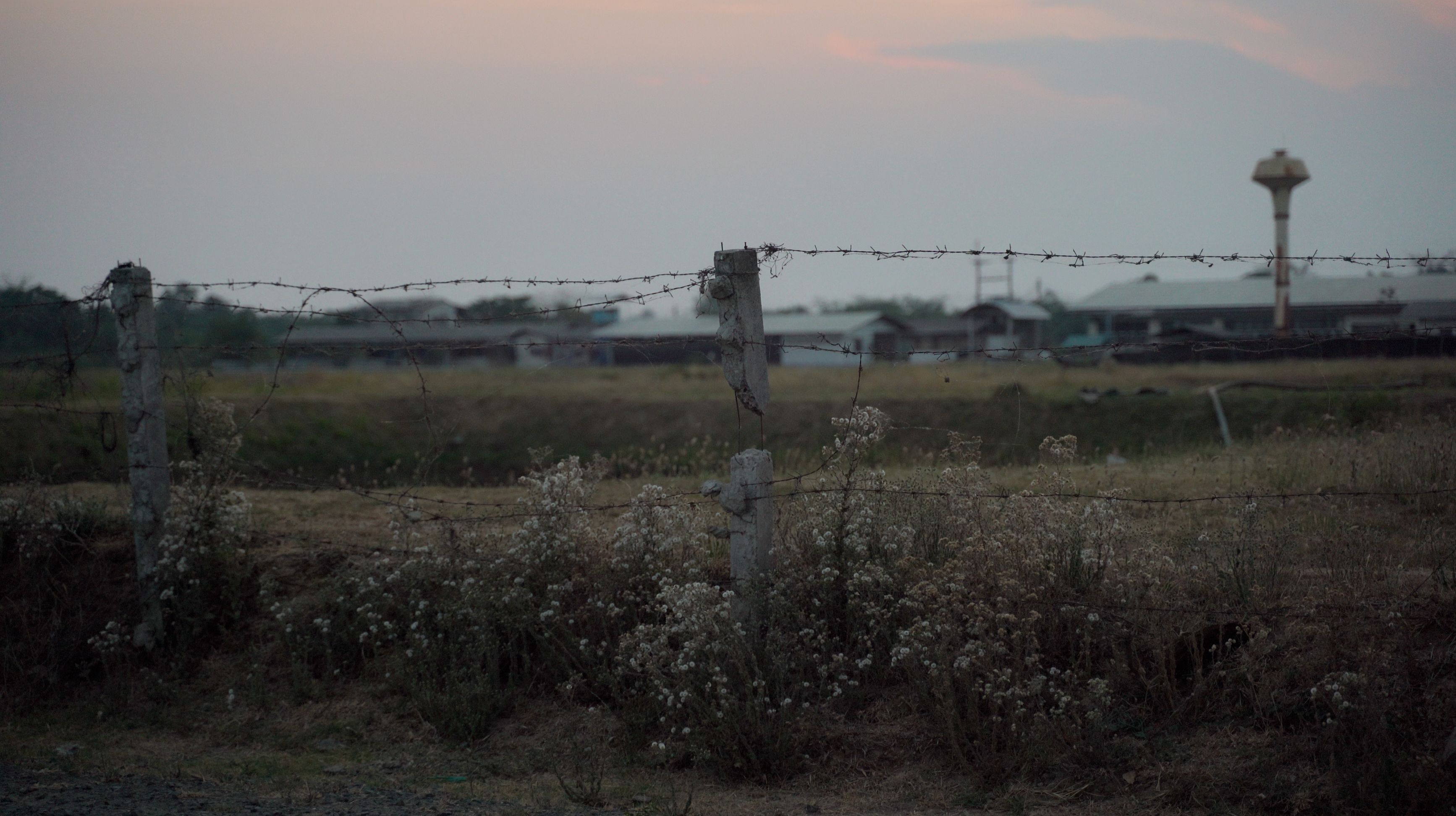 still from a film in the exhibition. flower field with barbed wire fence.
