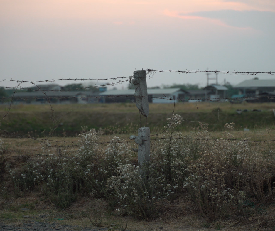 Flowers and barbed wire fence, an airport in the background.